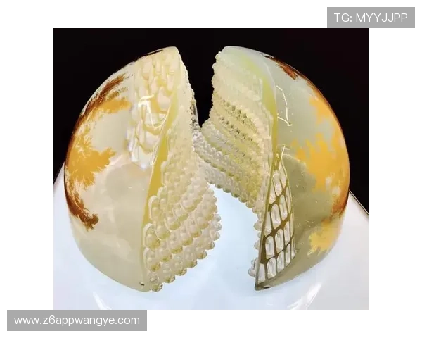 凯时尊龙人生就是博-注册：详细步骤指导让你轻松注册享受丰富游戏内容